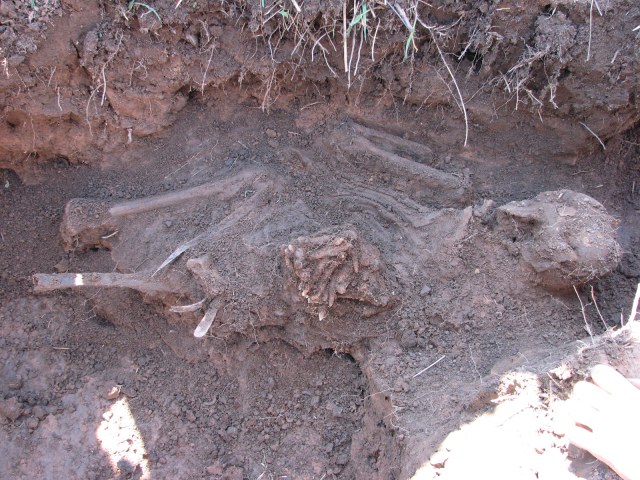 поиск 2009 (170).JPG