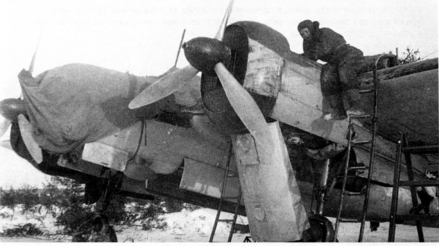 Снимок экрана_2-9-2024_221058_.jpeg