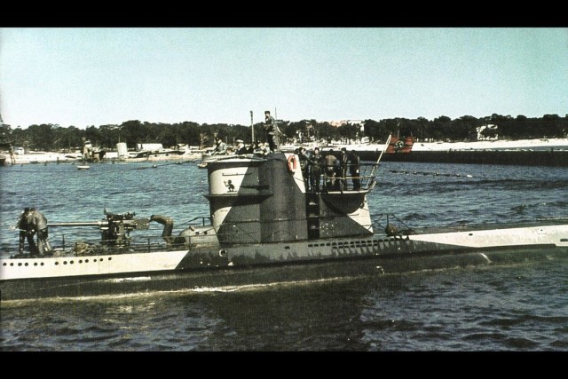 6262adb49b53b49a966f44b2b6cc58f8 (1).jpg