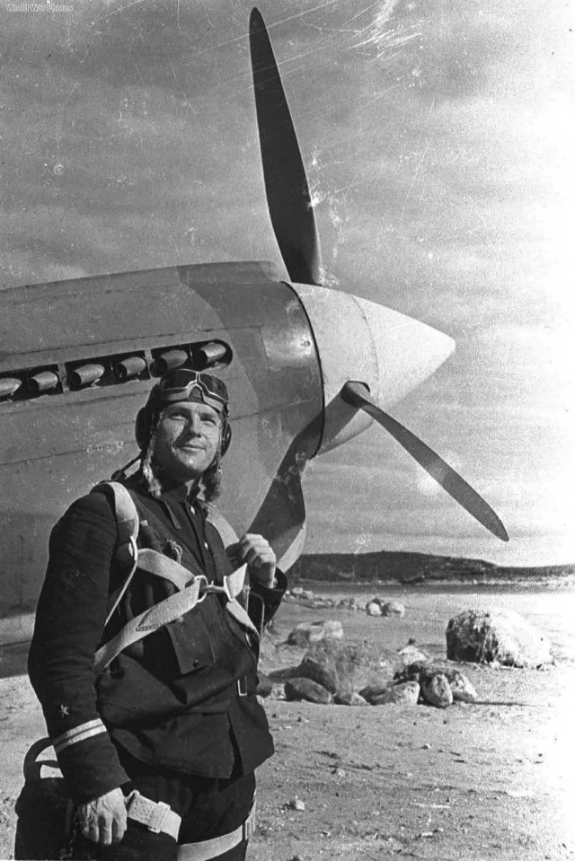 P-40_Pokrovskiy_1942_.jpg