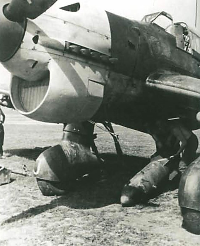ju871.jpg