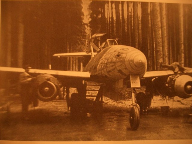 img_gr_00000078_Waldwerk 2.jpg