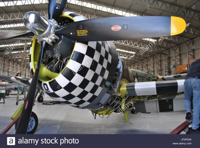p-47-thunderbolt-razorback-closeup-JF3PDW.jpg