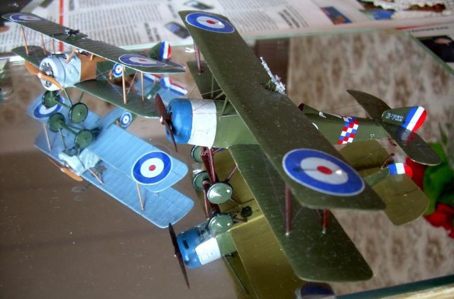 Camel & Strutter.jpg