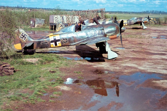 jg54color.jpg