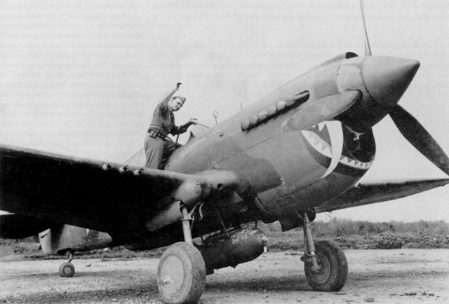 P-40.jpg