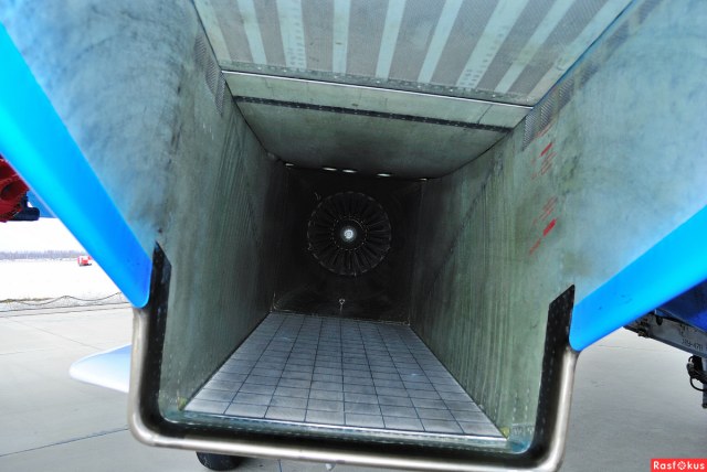 616ae68993952d783602697f720ed772 (1).jpg