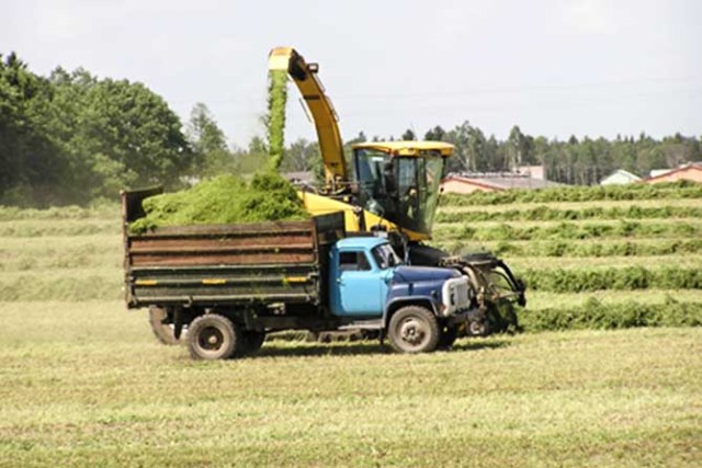 zagotovka-kormov-dlia-skota-silos-trava-kombain-kombikorm.jpg