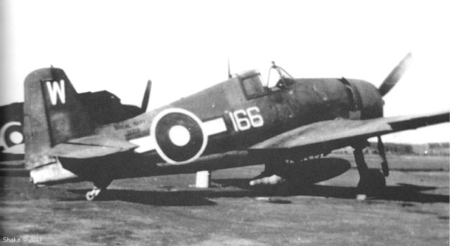 Hellcat_166_1.jpg