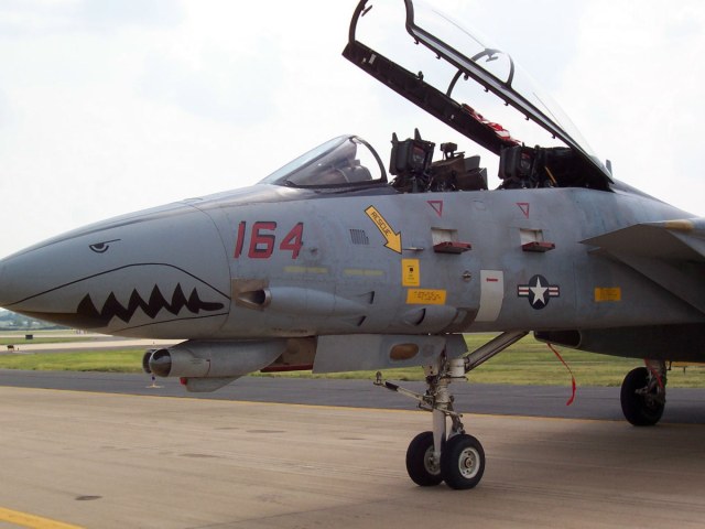 tmp_f-14d_vf101cagnose-850583486.jpg