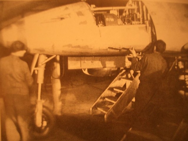 img_gr_00000081_Waldwerk 6.jpg