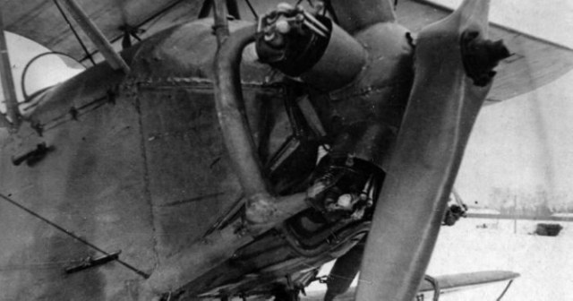 Без имени.jpg