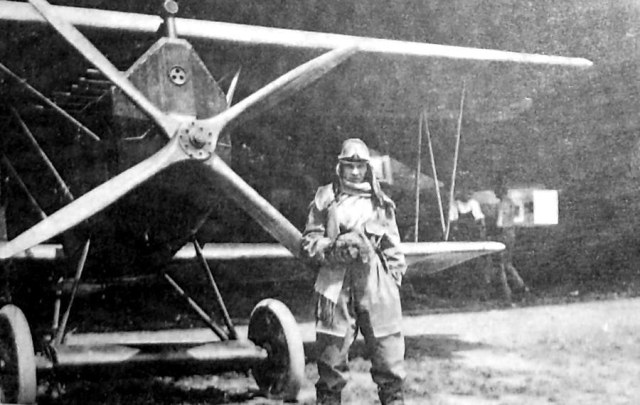 Fokker DVII hungarian_2.jpg