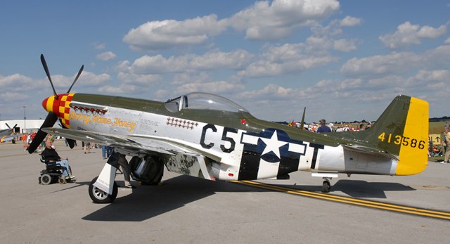 p51_honey_pic.jpg