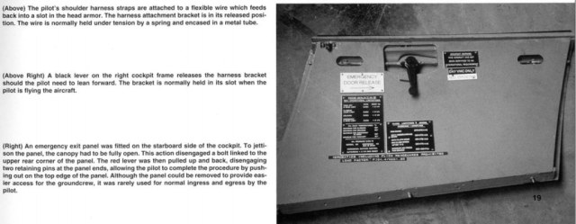 Новый рисунок.jpg