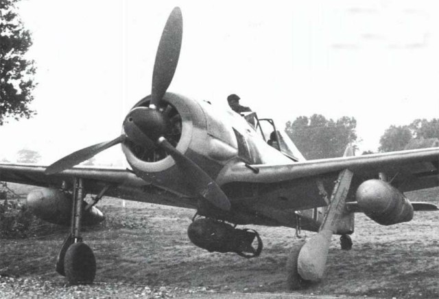fw190g1-10.jpg