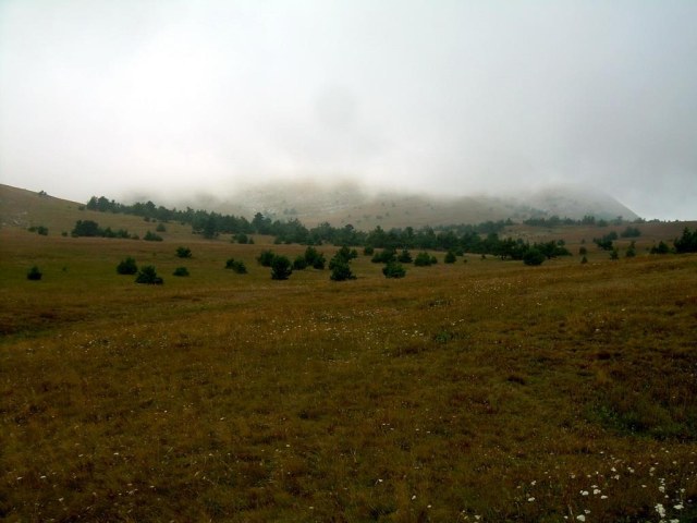 29 Возле беседки ветров.jpg