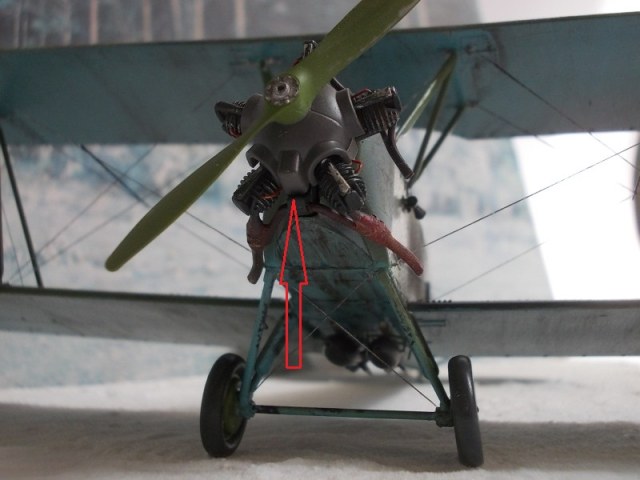 DSCN0415 — копия.JPG