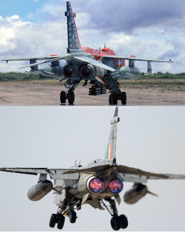 Jaguar Tiger compare 03.jpg