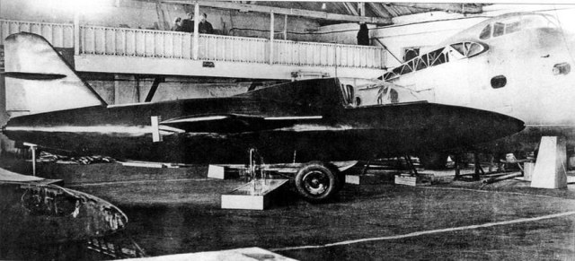 Цыбин ЛЛ-1_1.jpg