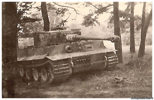 7899266.jpg