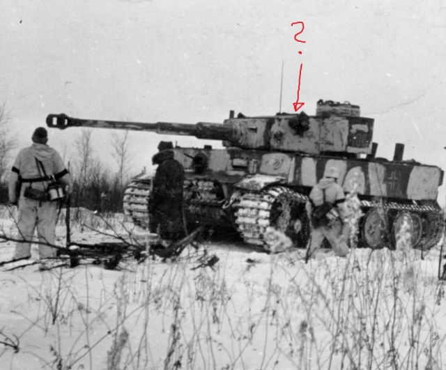 tiger100.jpg