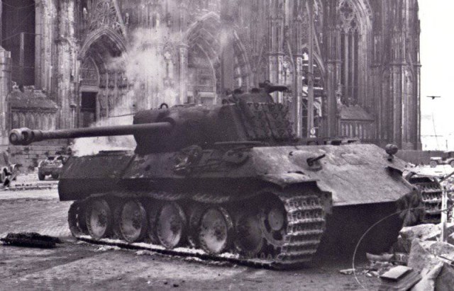 1331327806_panther-ausfacol (1).jpg