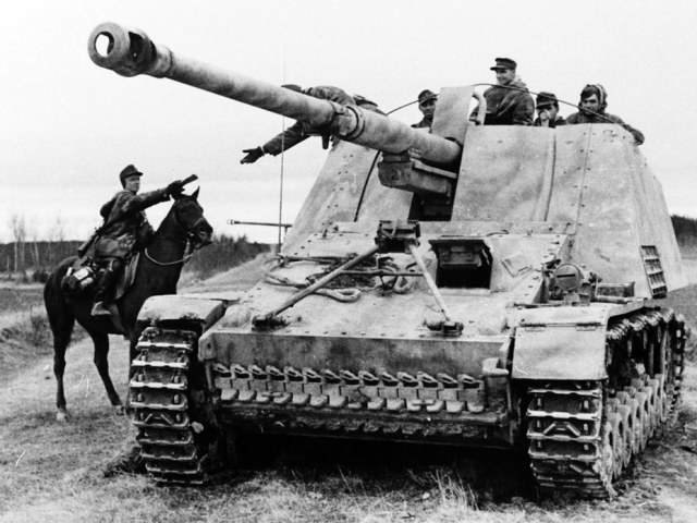 nashorn14-69e21bf5b2ca1f243e799d103c14cc51.jpg