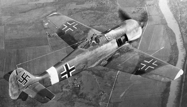fw1901.e3a8e7w1rbk8so0os44sso8kg.ejcuplo1l0oo0sk8c40s8osc4.th.jpeg