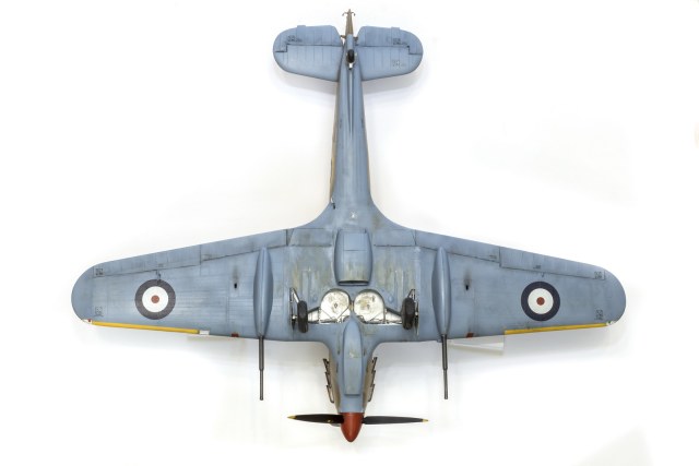 DSC05458_новый размер.jpg