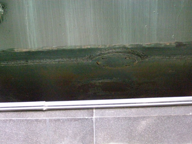 P1010259.jpg