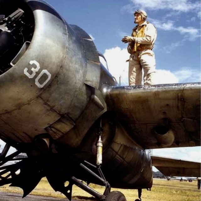 чумазый кошак.jpeg