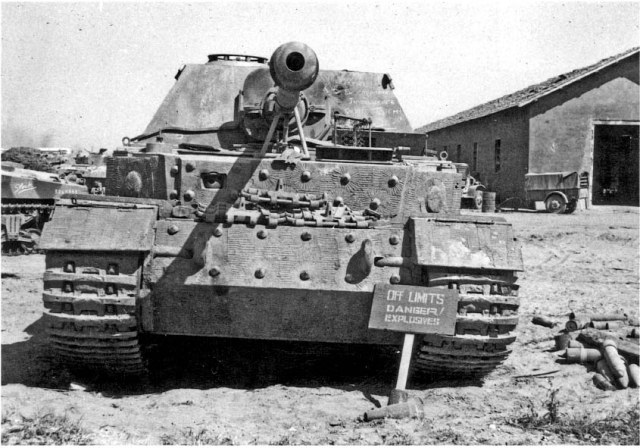 Panzerjager Elephant my favorite tank killer.jpg