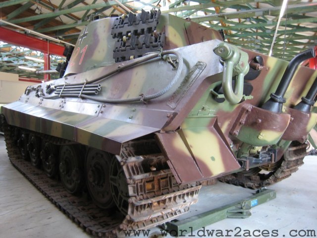 kingtiger-1488.jpg