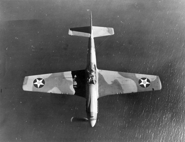 P-51A-1NA_6.jpg