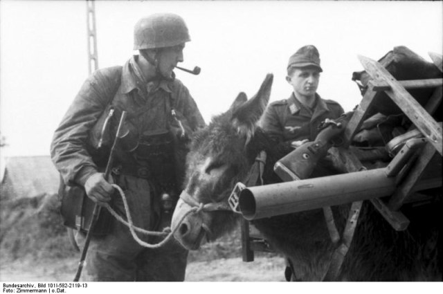 Bundesarchiv_Bild_101I-582-2119-13,_Soldaten_mit_beladenem_Esel.jpg