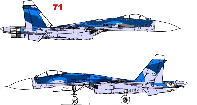 Боковики Су-33-71.JPG