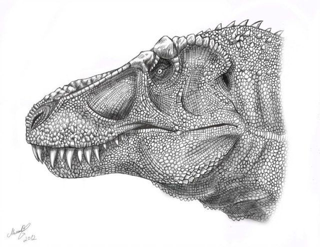 tyrannosaurus_rex_head_by_malvit_d4rrr0r-fullview.jpg