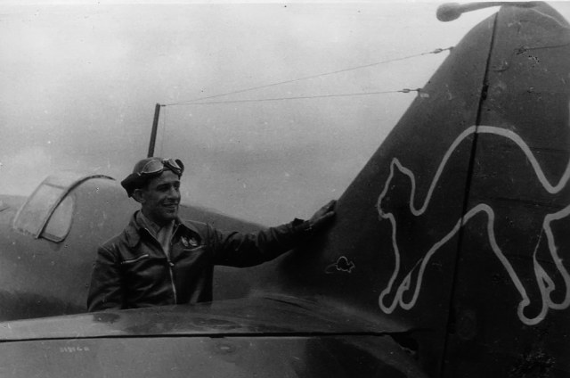 Черный кот Гальченко.jpg