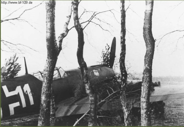bf-109e3-1-jg77-w11o-semi-hidden-along-a-small-forest-1940-01.jpg
