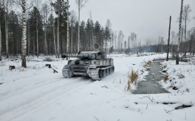 Тигр №100