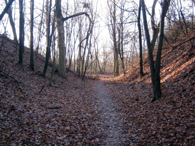 09 Фортификация.jpg