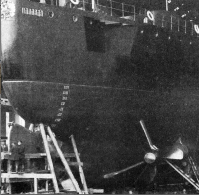 Палашка корма док.jpg