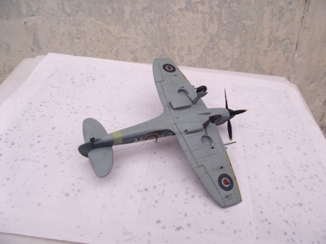 009_photo-resizer.ru (1).JPG