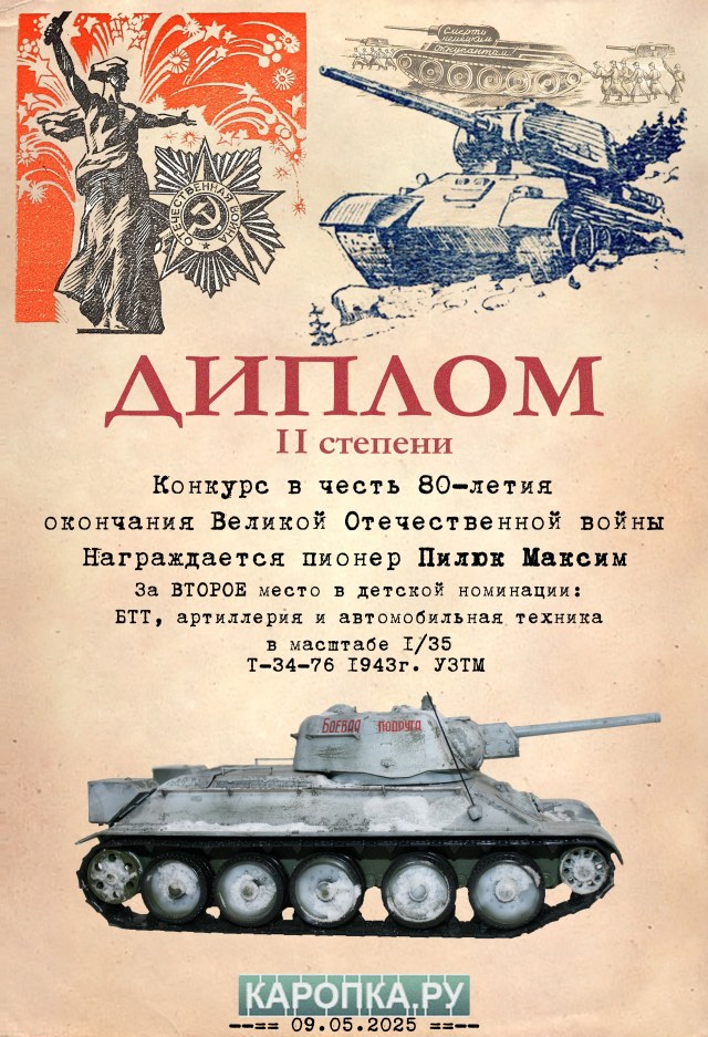 Диплом Пилюк.jpg