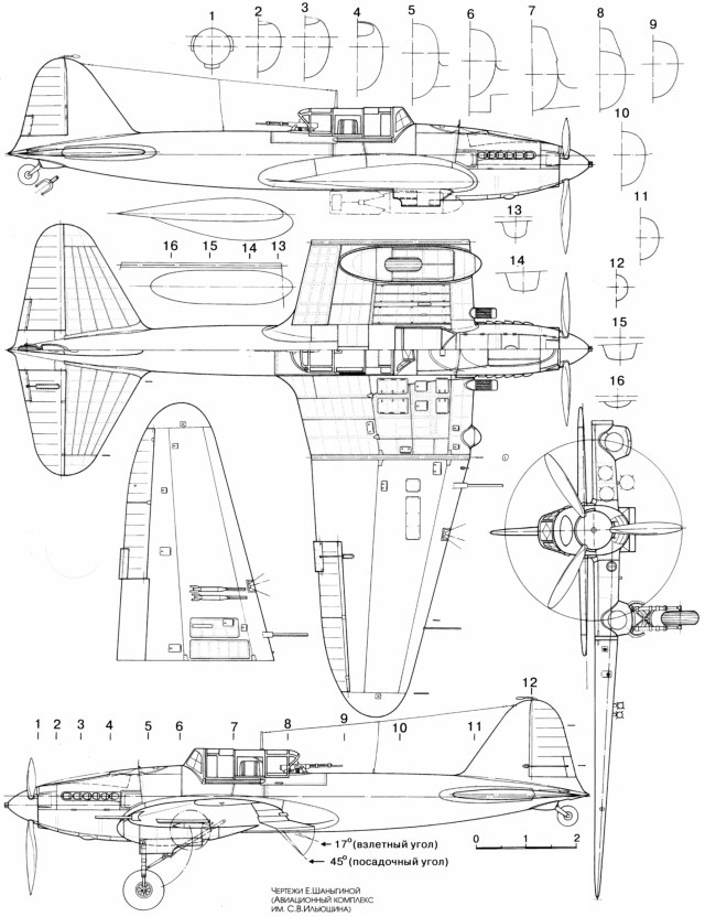 Ил-2_ксс дерево.jpg