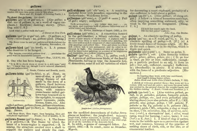 The Century Dictionary..png