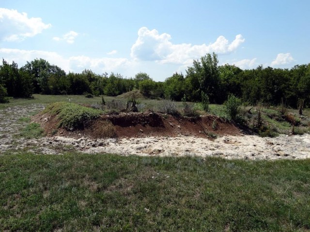 033 Участок раскопок.jpg