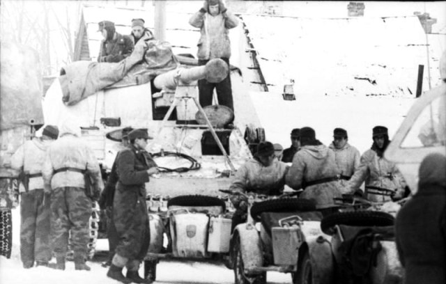 марш 440355723.jpg