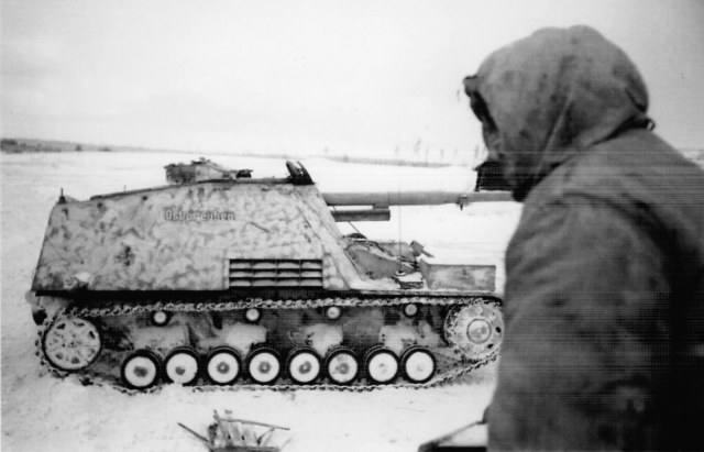 зима Nashorn.jpg